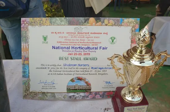 Advanced training certificate in fruit plant cultivation for Vietnam Super Early Jackfruit – Shabnam Nursery India